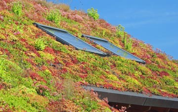 St Fagans living roof systems